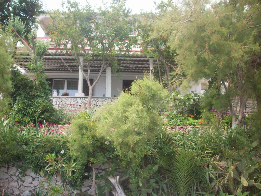 Apartments Tomovic Lumbarda Exterior photo